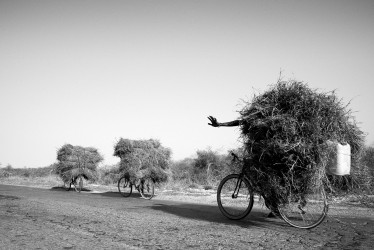 Cédez le passage, RN7 Tuléar, Madagascar, n° 1/30 - 2019