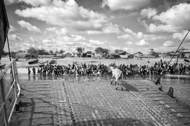 La chèvre Super-Star, Soalary, Madagascar, n° 1/30 - 2014