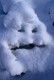 Le Bonhomme de neige. Tas de neige sur le chemin, Clavans en Oisans, 2007 - n° 1/3