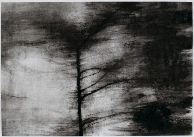 Paysage 2 (2020) - OBERSON_GUY_47