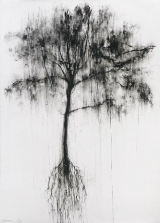 Envol d'arbre - OBERSON_GUY_51