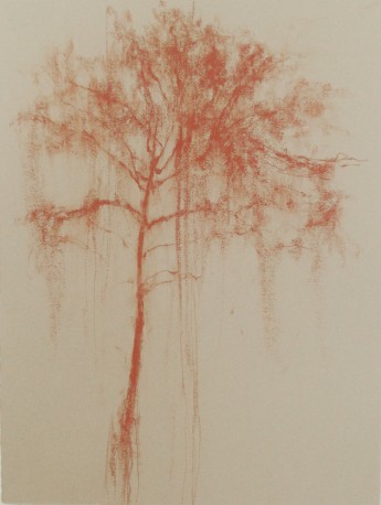 Arbre en élévation (2010) - OBERSON_GUY_52