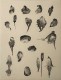 La collection pl 6 - n° 4/30