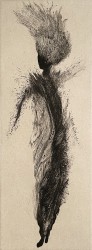 Feu, n°32/50