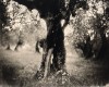 Olivier XVIII - n° 1/1 (2019)