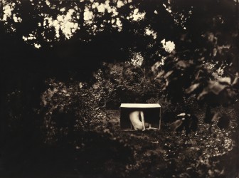 Les intrus II - n° 1/1 (2019)