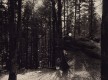 Useful lies X - n° 1/1 (2021)