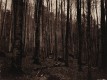 Even Ghosts Get Lost III - n° 1/1