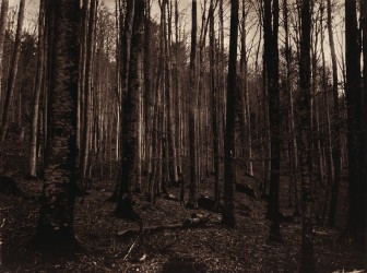 Even Ghosts Get Lost III - n° 1/1