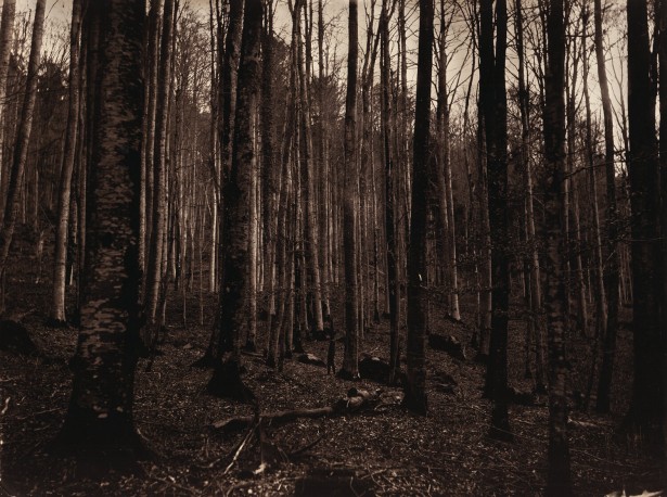 Even Ghosts Get Lost III - n° 1/1 - ANTOINE_ERIC_64