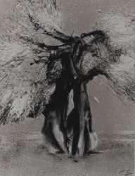 Tamaris n°3 (2010)