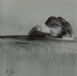 Atmosphère