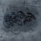 Les jardins du ciel 1 (2022)