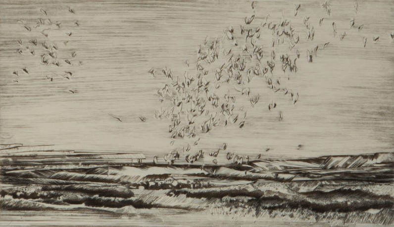 Plus vaste, n° 2/30 (2020) - GRALL_NATHALIE_1165