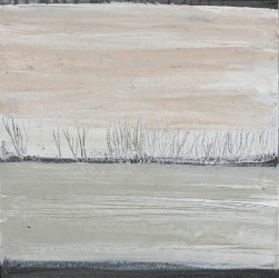 Soleil d'hiver (février 2019)