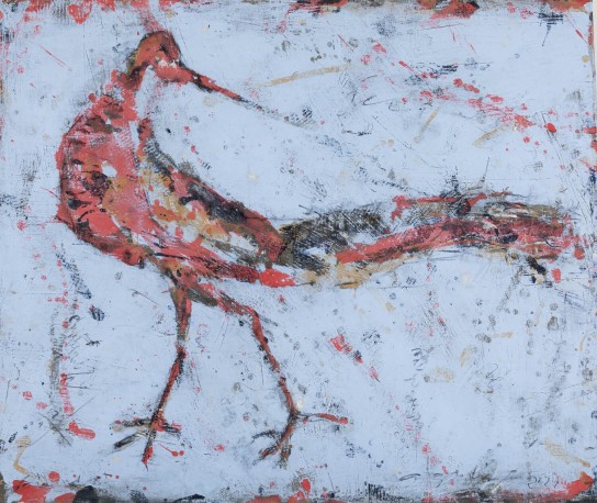 Faisan doré (gauche) - GORODINE_ALEXIS_1069