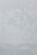 Le soleil de la brume. Chapitre I - N23-2, 2022