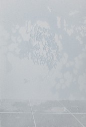 Le soleil de la brume. Chapitre I - N23-2, 2022
