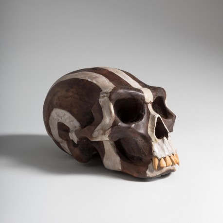 Crâne primitif - RIEU_JACQUES_42