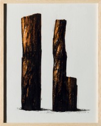 Pétrifiés (2015)