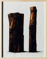 Pétrifiés (2015)
