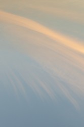 Sans titre - n° 1/10 (2020)