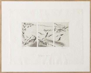 Triptyque oiseaux, n° 6/10