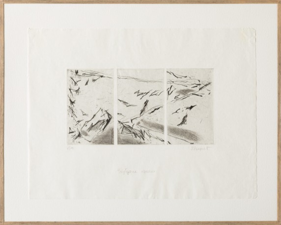 Triptyque oiseaux, n° 6/10 - LUQUET_EVE_235