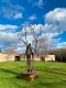 L'Arbre - n° 1/8