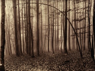 The Stolen Model, n° 2/8