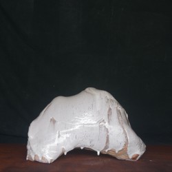 Boli