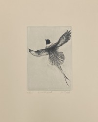 Envie d'envol