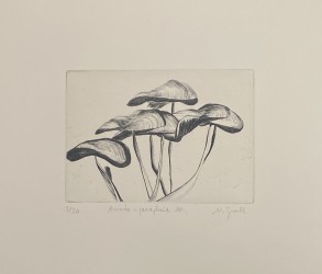 Année parapluie 10